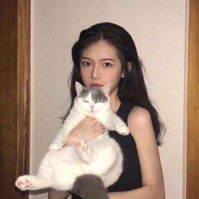 全民大主宰益玩版下载